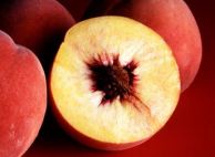 drupe
