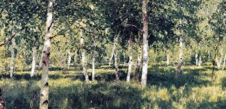 Boulaie