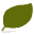 olive (30)