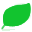 vert (148)