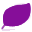 violet (6)
