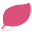 rose (1)