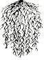 Système fibreux Système fibreux